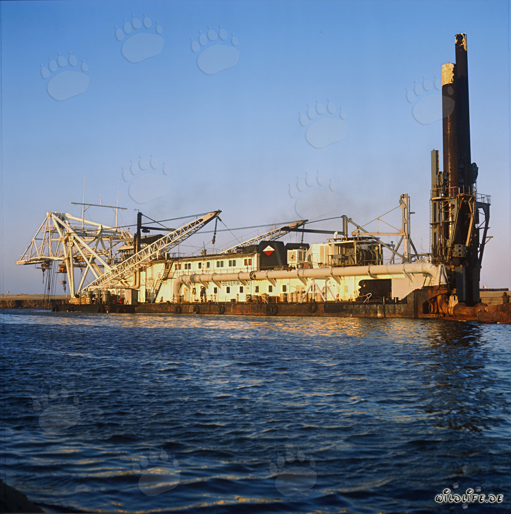 Draga de succión de cabeza de corte Beverwijk 31 en el puerto de Richards Bay, Sudáfrica