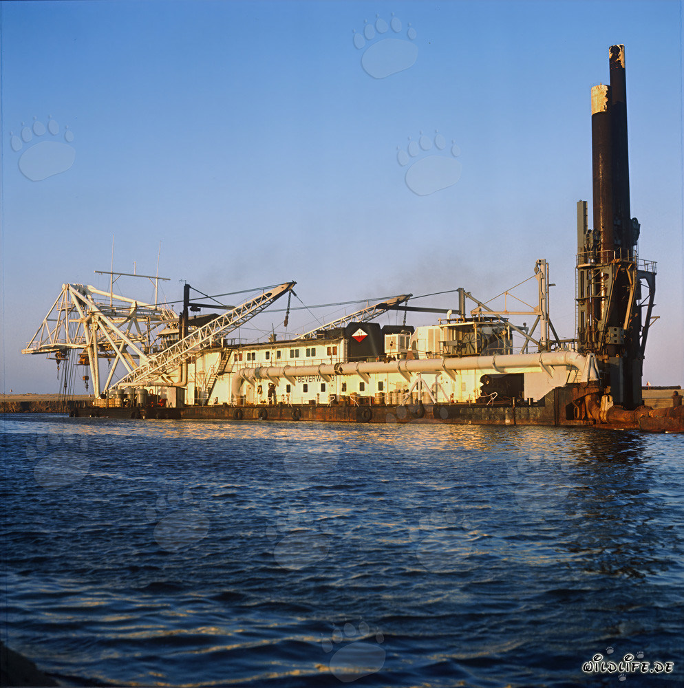 Drague suceuse à tête de coupe Beverwijk 31 dans le port de Richards Bay, Afrique du Sud