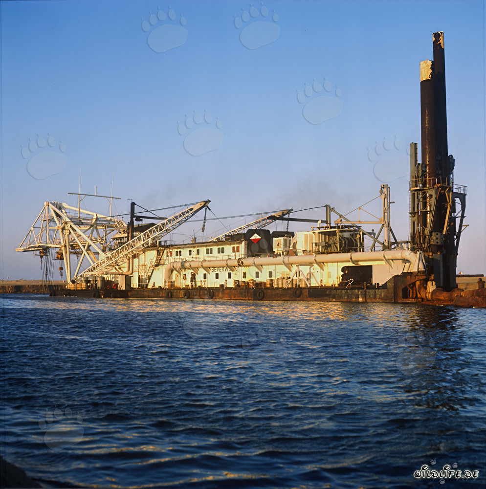 Schneidkopfspuelbagger Beverwijk 31 im Hafen Richards Bay, Südafrika