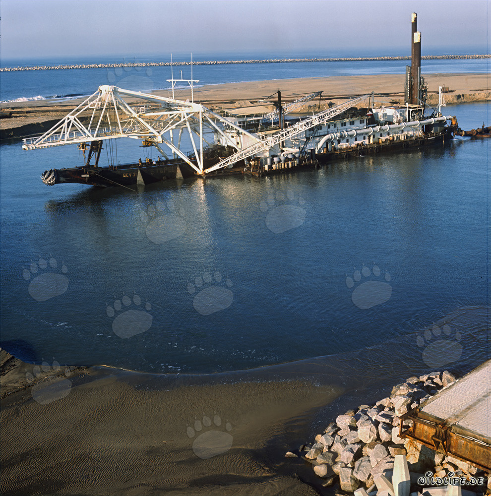 Bau des Hafens Richards Bay: Schneidkopfspuelbagger Beverwijk 31