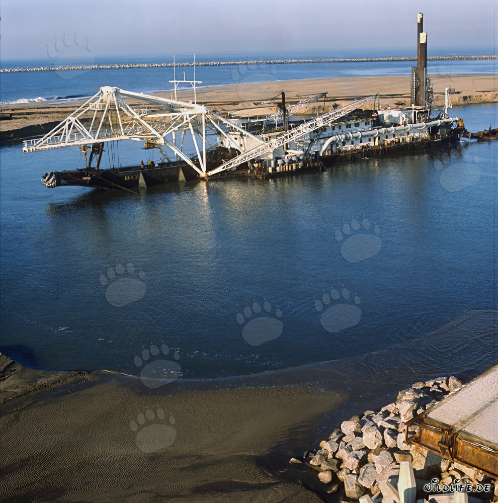 Construction du port de Richards Bay : Drague suceuse à tête de coupe Beverwijk 31