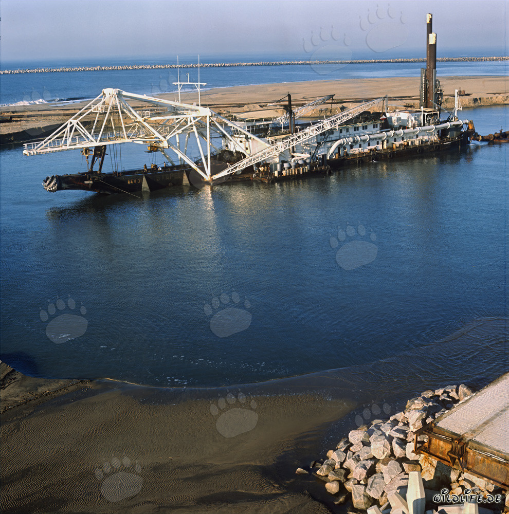 Construction of Richards Bay Harbour: Cutter Suction Dredger Beverwijk 31
