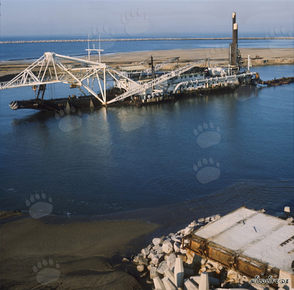 Drague suceuse à tête de coupe Beverwijk 31 dans le port de Richards Bay, Afrique du Sud