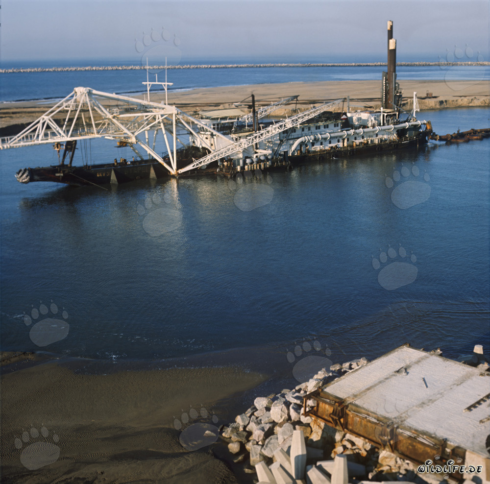 Schneidkopfspuelbagger Beverwijk 31 im Hafen Richards Bay, Südafrika
