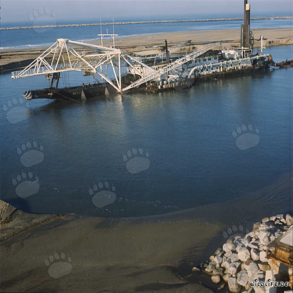 Cutter Suction Dredger Beverwijk 31 in Richards Bay Harbour, South Africa