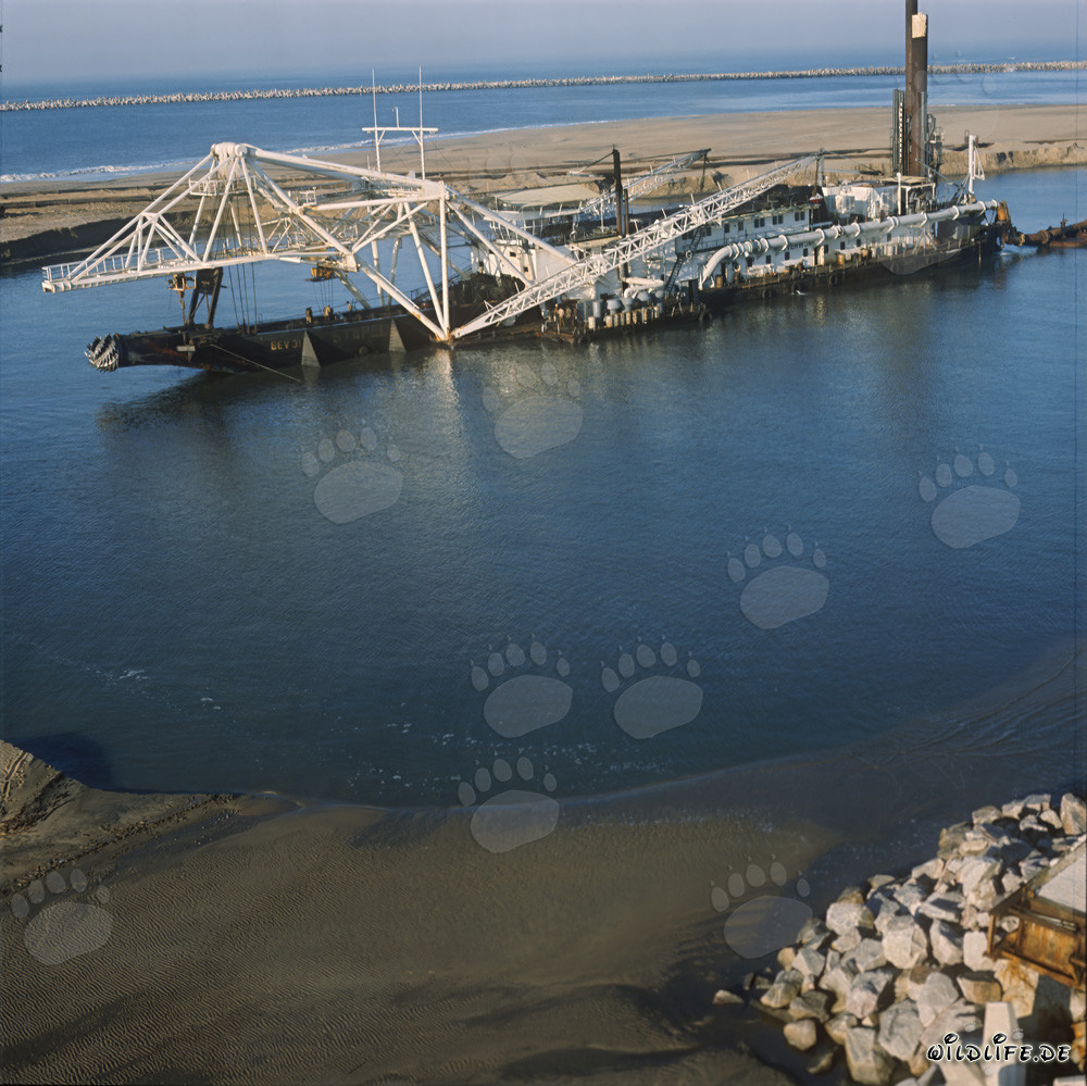 Draga de succión con cabeza de corte Beverwijk 31 en el puerto de Richards Bay, Sudáfrica