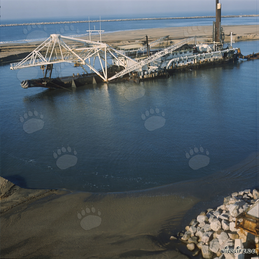 Drague suceuse à tête de coupe Beverwijk 31 au port de Richards Bay, Afrique du Sud