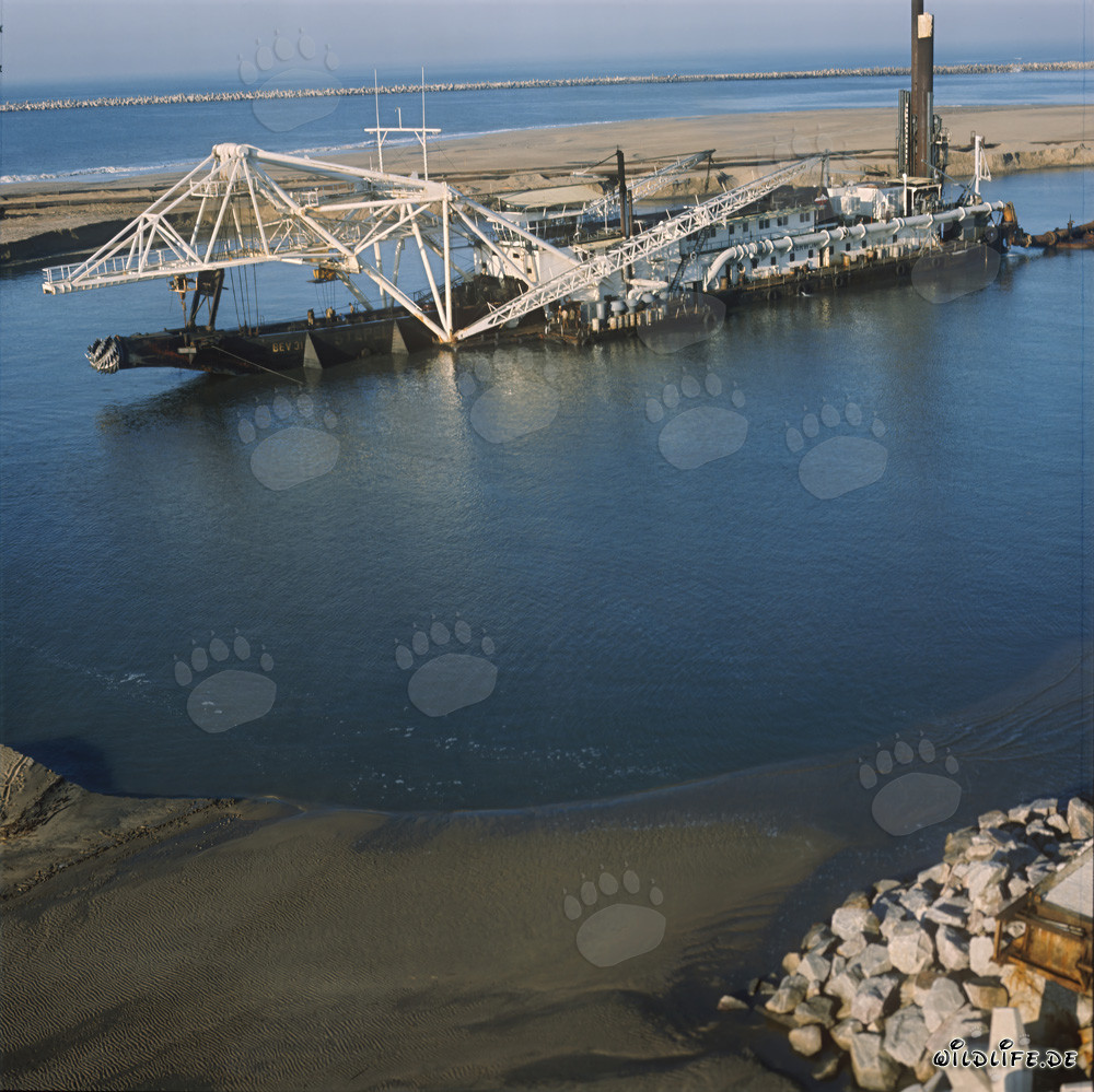 Schneidkopfspuelbagger Beverwijk 31 in Richards Bay Hafen, Südafrika