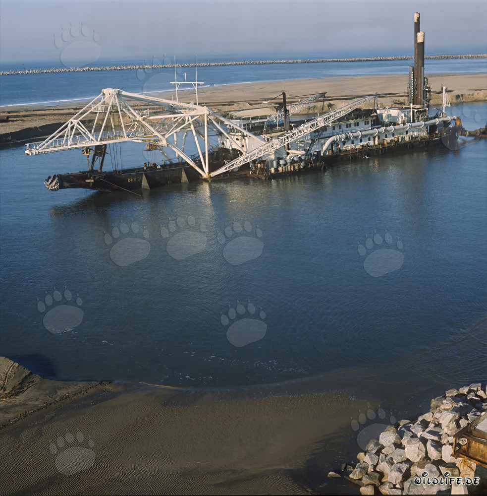 Drague suceuse à tête de coupe Beverwijk 31 dans le port de Richards Bay, Afrique du Sud