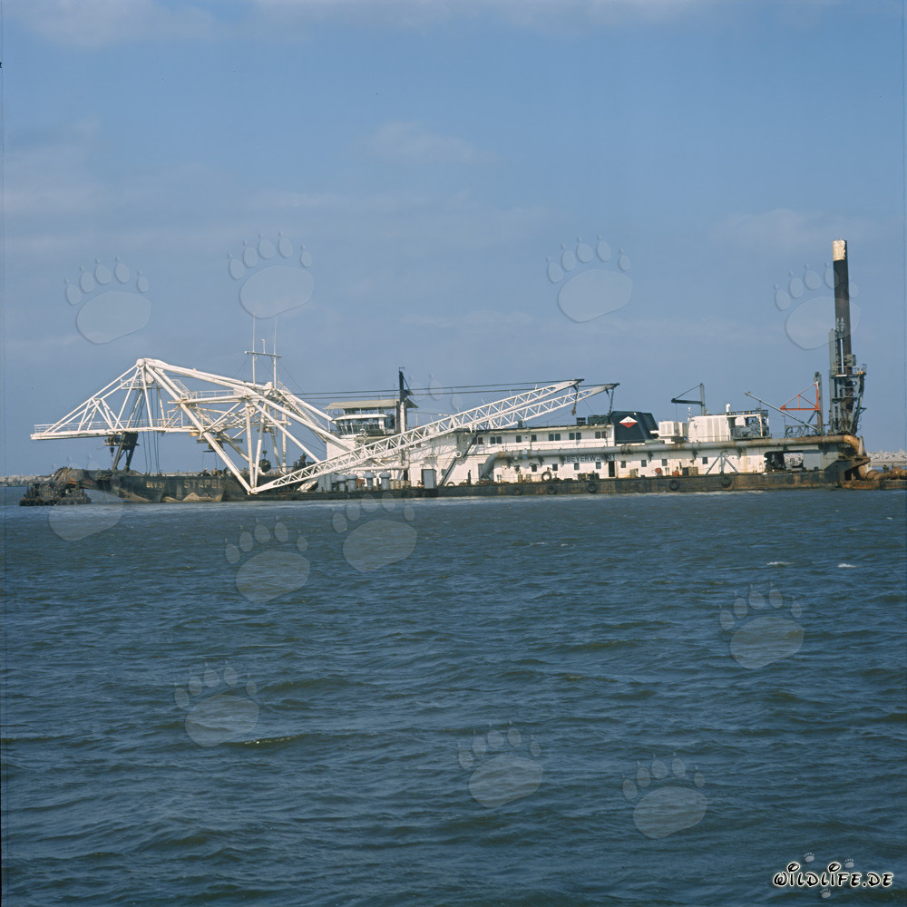 Cutter Suction Dredger Beverwijk 31 during Port Expansion in Richards Bay, South Africa
