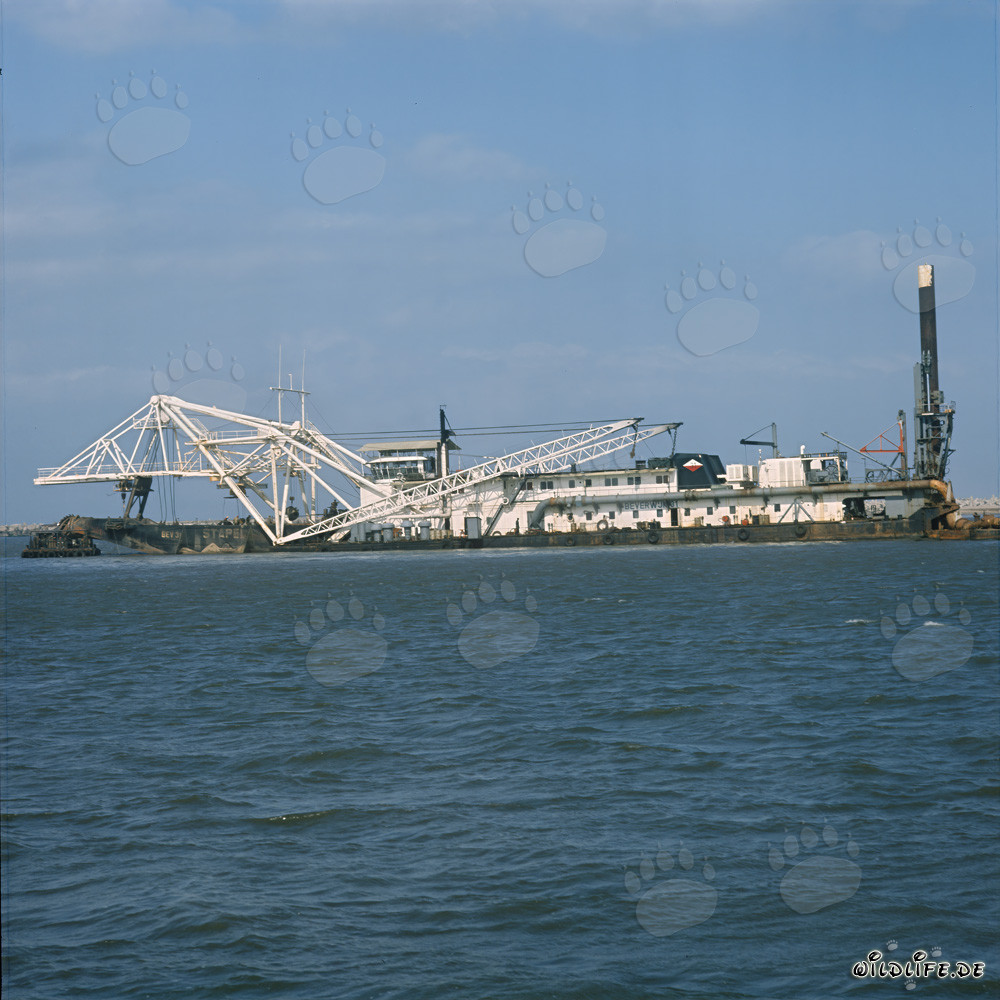 Drague suceuse à tête de coupe Beverwijk 31 lors de l'agrandissement du port de Richards Bay, Afrique du Sud