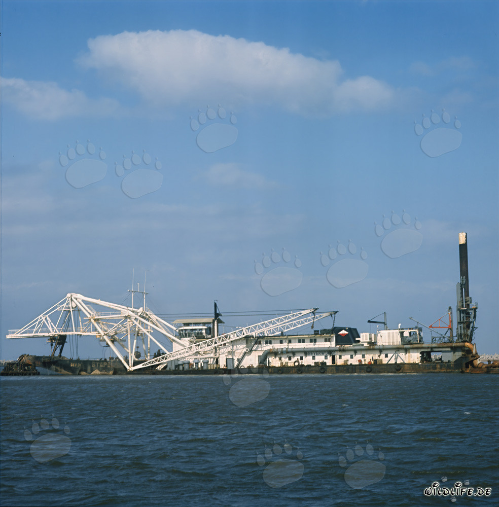 Baggerarbeiten im Hafen Richards Bay