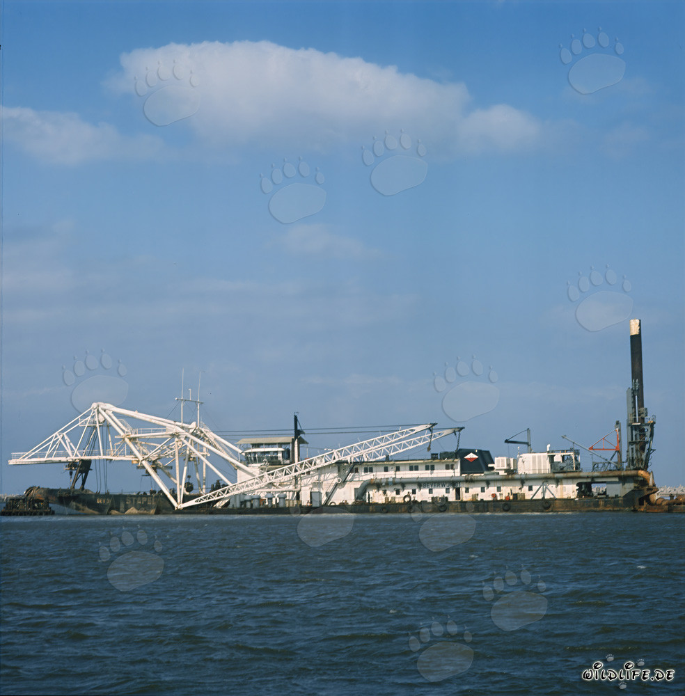 Dredging Operations in Richards Bay Harbour