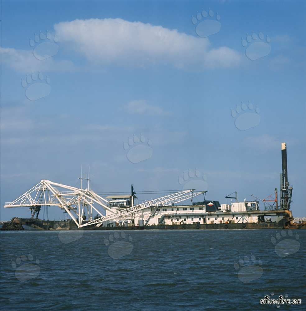 Trabajos de excavación en el puerto de Richards Bay