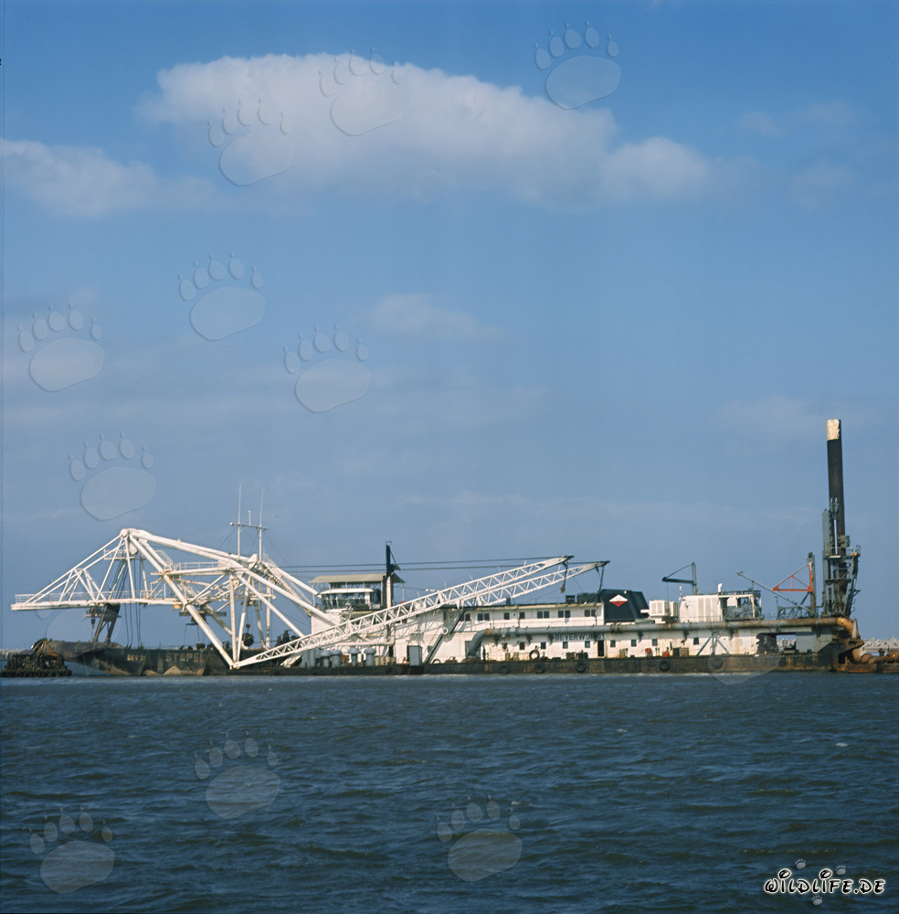 Travaux de dragage dans le port de Richards Bay