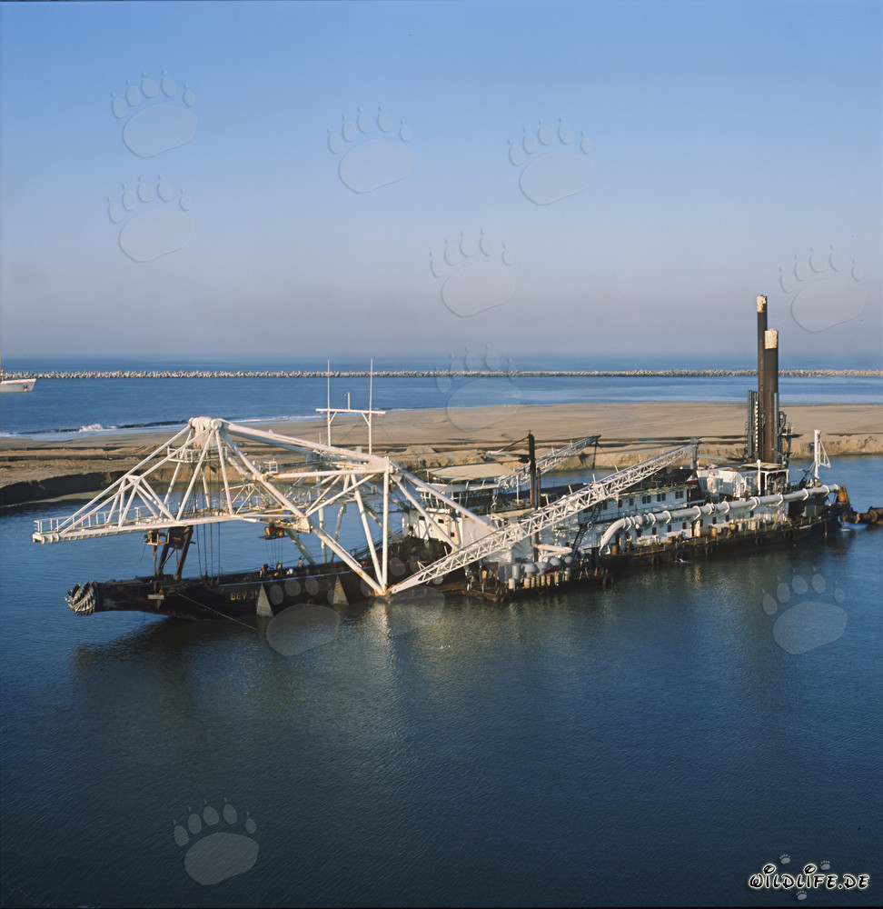 Impresionante draga de succión con cabezal de corte Beverwijk 31 en el puerto de Richards Bay, Sudáfrica