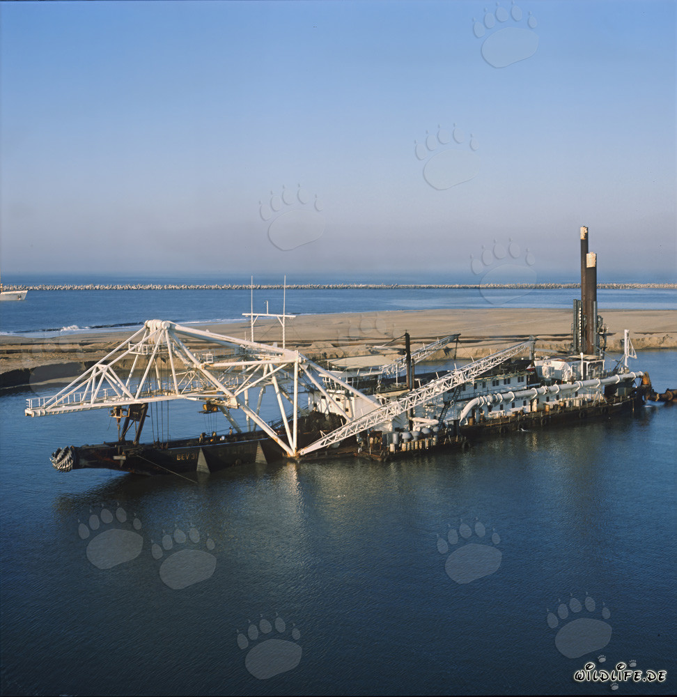 Dragueur à tête de coupe imposant Beverwijk 31 dans le port de Richards Bay, Afrique du Sud