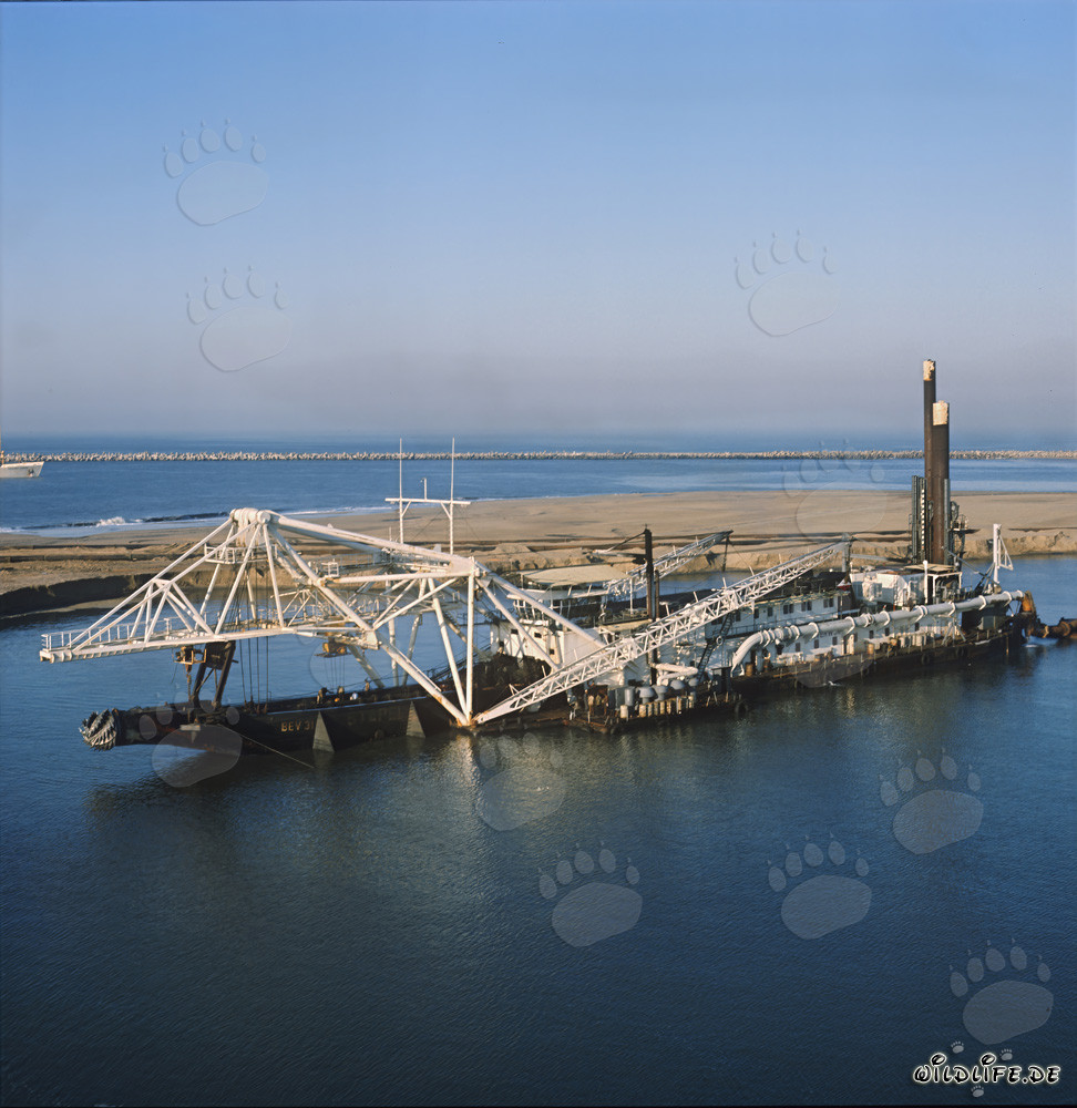 Imposanter Schneidkopfspülbagger Beverwijk 31 in Richards Bay Hafen, Südafrika