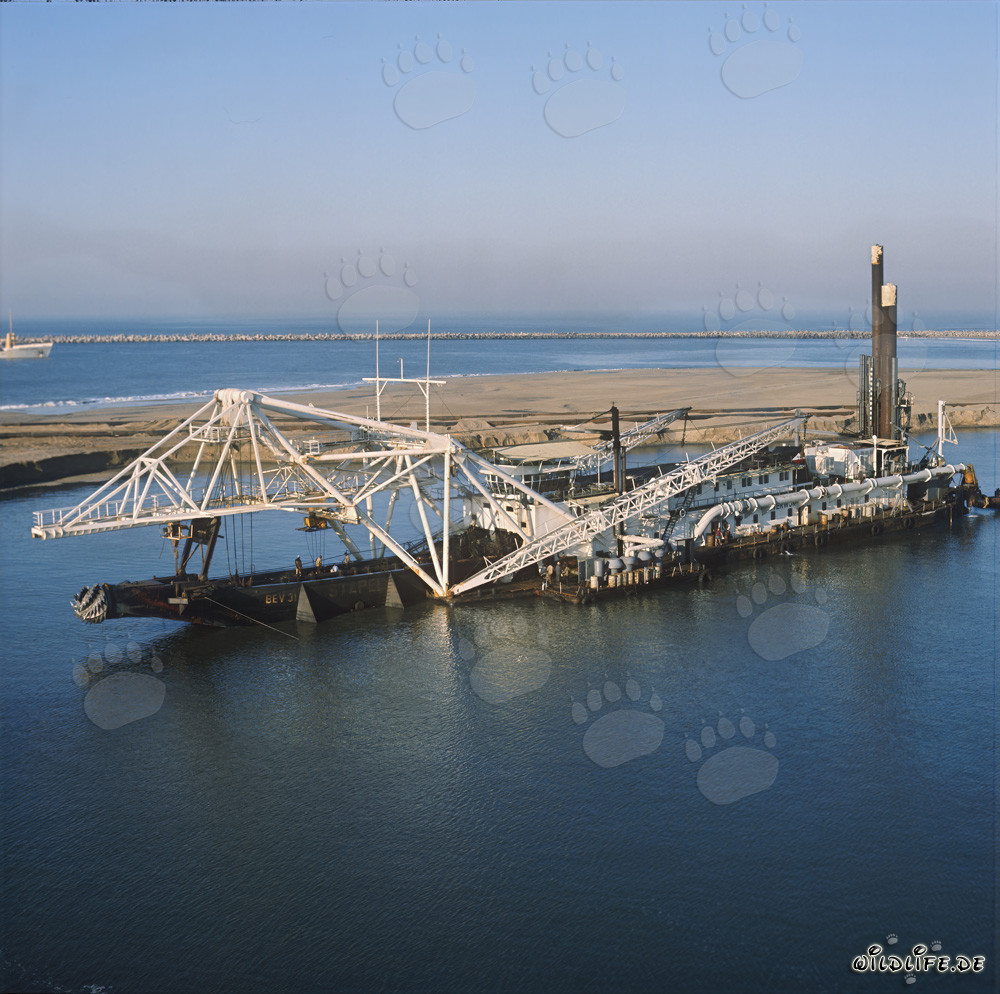 Drague suceuse à tête de coupe Beverwijk 31 dans le port de Richards Bay, Natal, Afrique du Sud