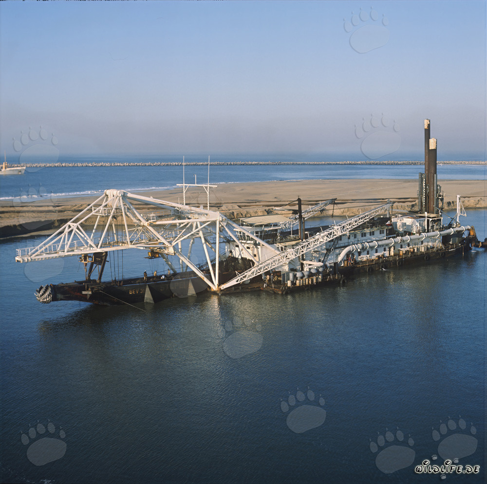 Schneidkopfspuelbagger Beverwijk 31 im Hafen von Richards Bay, Natal, Südafrika