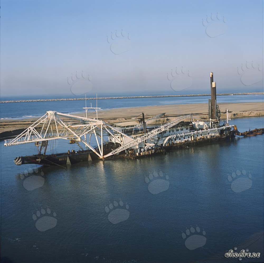 Drague suceuse à tête de coupe Beverwijk 31 dans le port de Richards Bay, Natal, Afrique du Sud