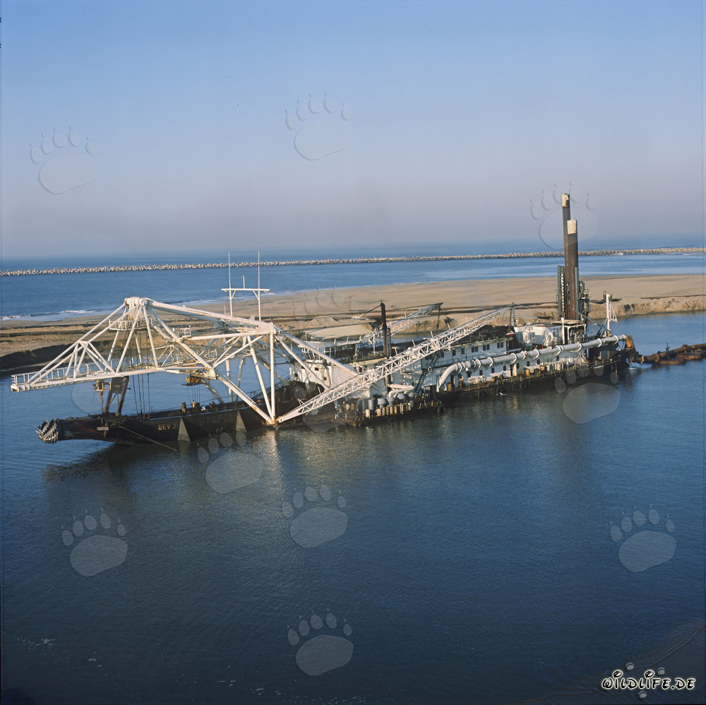 Schneidkopfspuelbagger Beverwijk 31 in Richards Bay Hafen, Natal, Südafrika