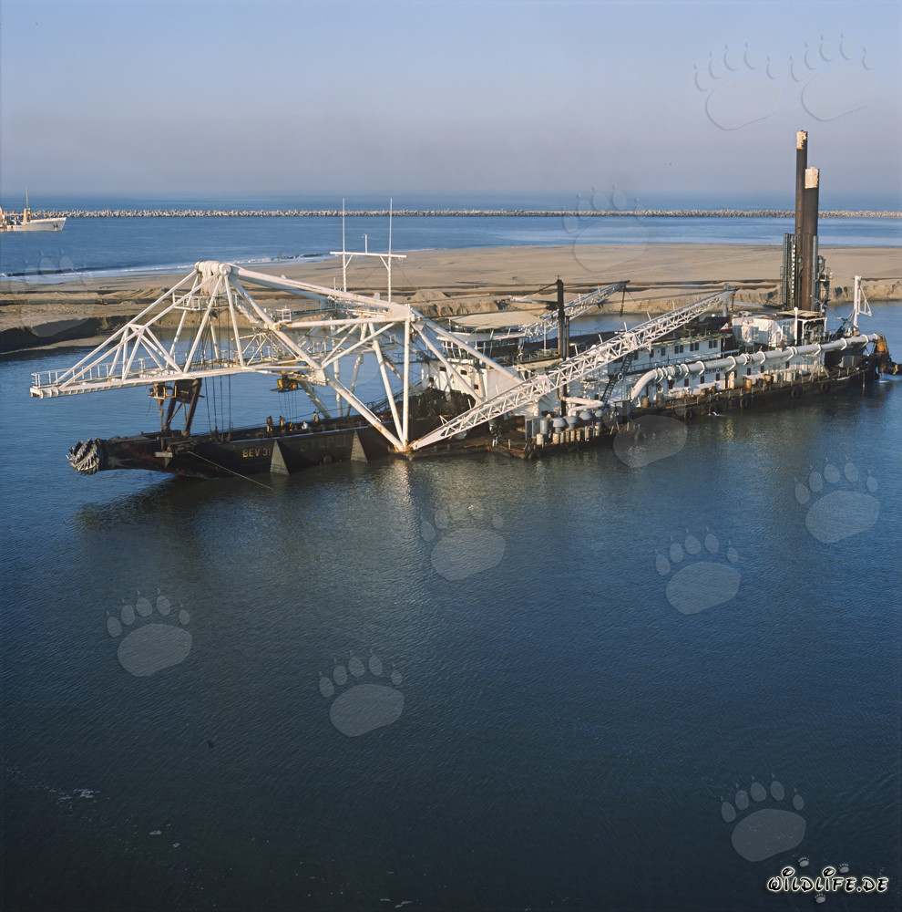 Baggerarbeiten am Hafen Richards Bay - Cutter Head Spülbagger Beverwijk 31
