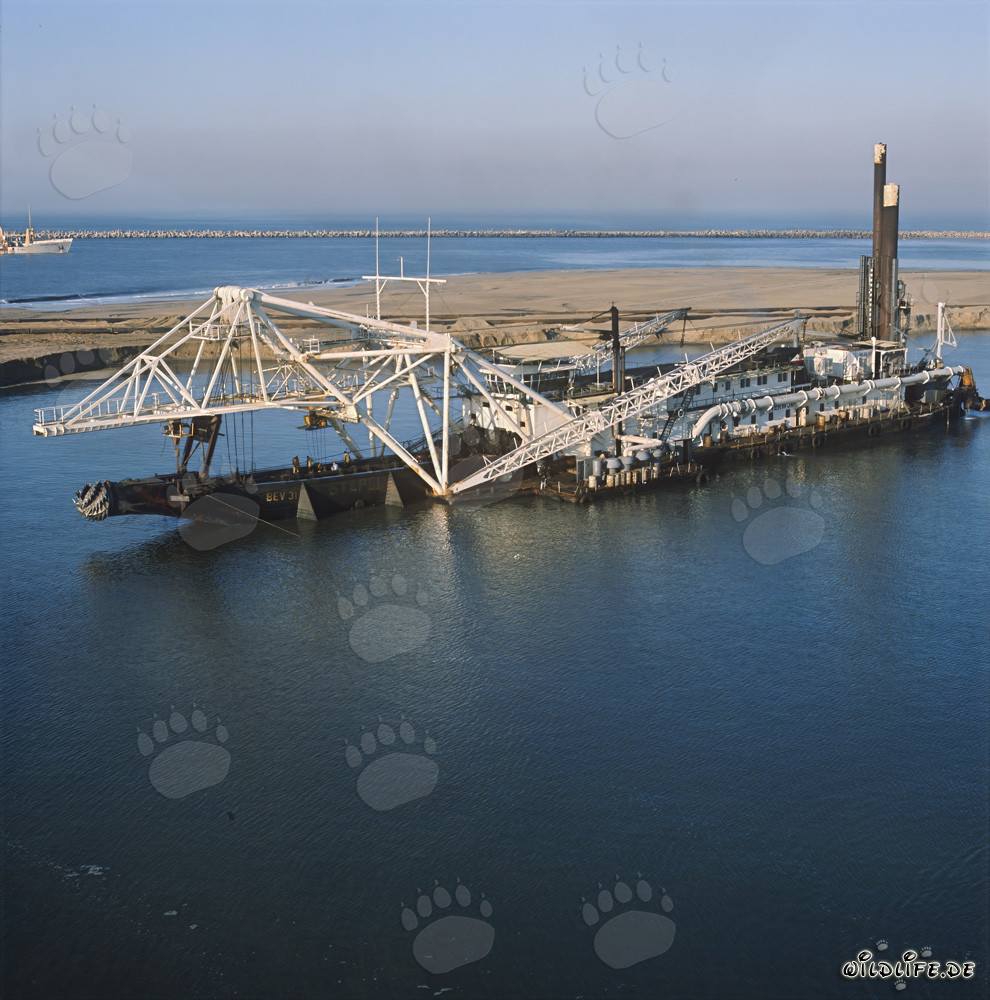 Dredging Works at Richards Bay Harbour - Cutter Head Cutter Suction Dredger Beverwijk 31