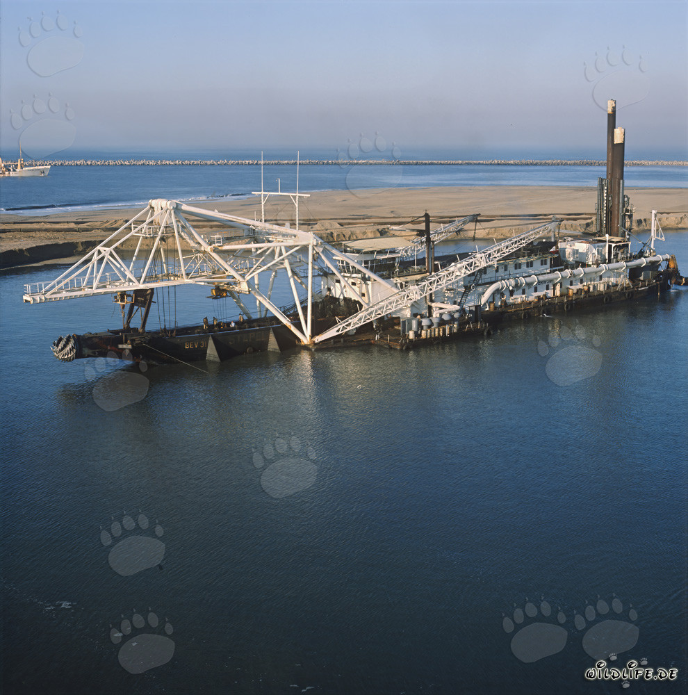 Travaux de dragage au port de Richards Bay - Dredge Cutter Head Beverwijk 31
