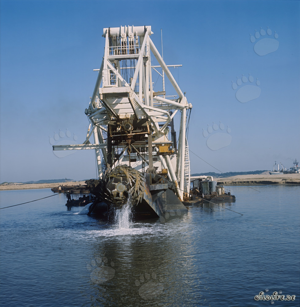 Cabezal de corte en la draga de succión Beverwijk 31 en Richards Bay, Sudáfrica