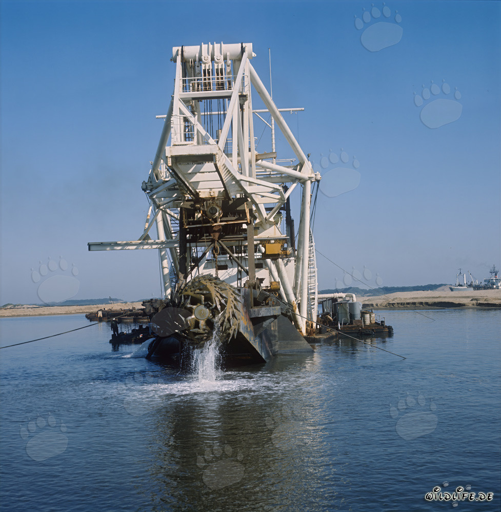 Schneidkopf am Cutter-Saugbagger Beverwijk 31 in Richards Bay, Südafrika