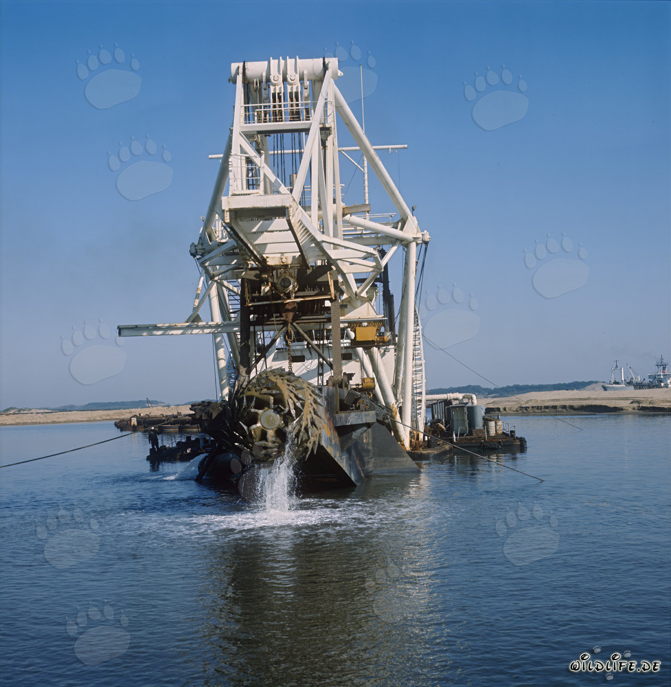 Tête de coupe sur la drague suceuse Beverwijk 31 à Richards Bay, Afrique du Sud