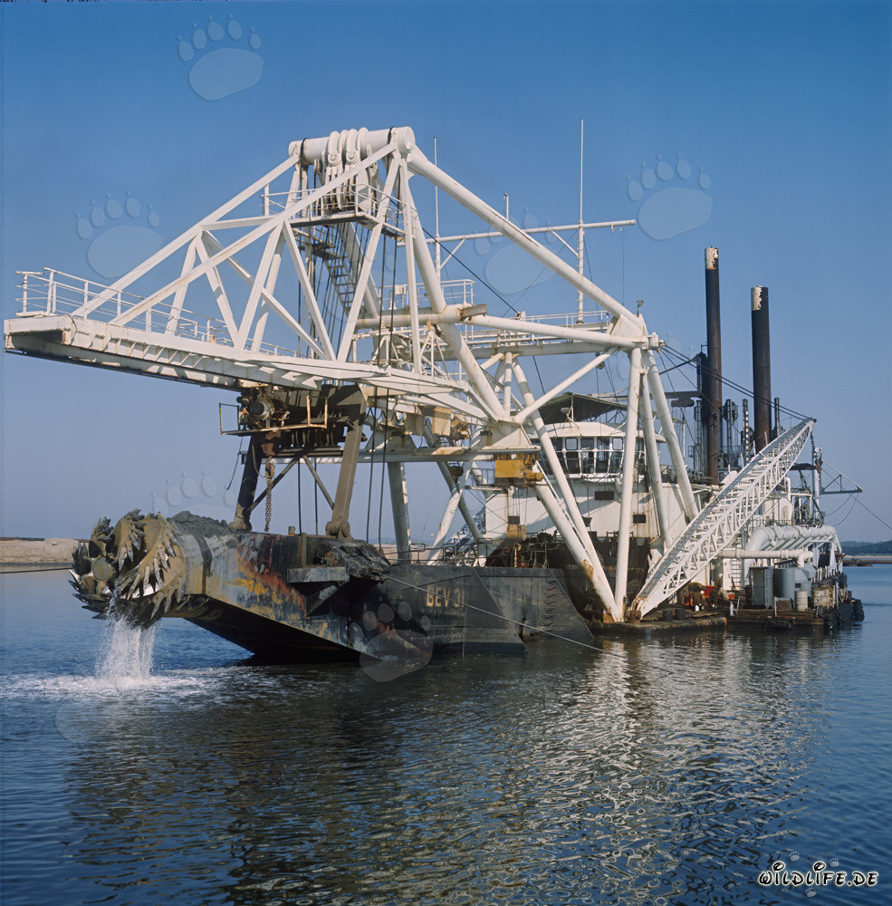 Cutter suction dredger Beverwijk 31 in Richards Bay Harbour, South Africa