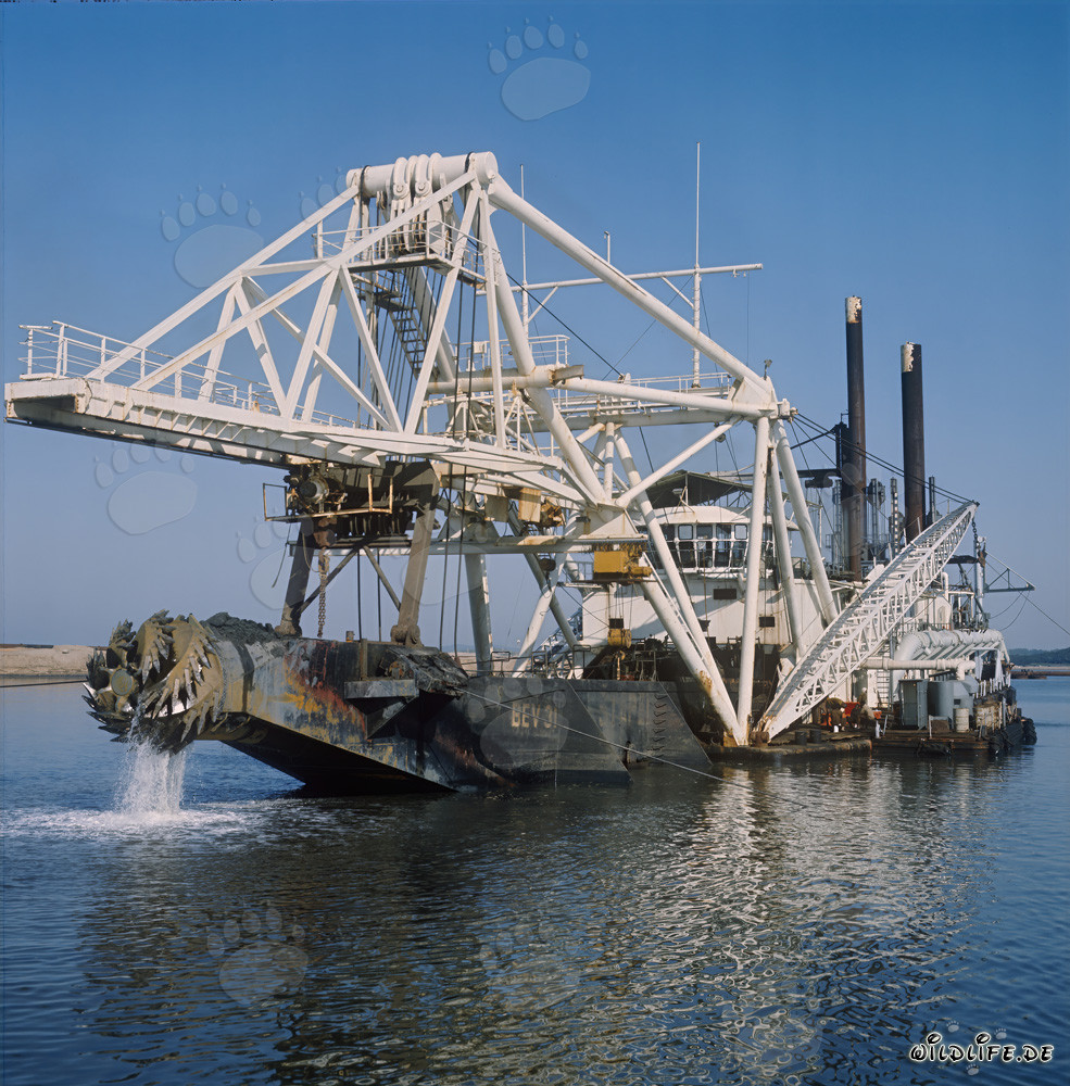 Draga de succión de cabeza de corte Beverwijk 31 en el puerto de Richards Bay, Sudáfrica