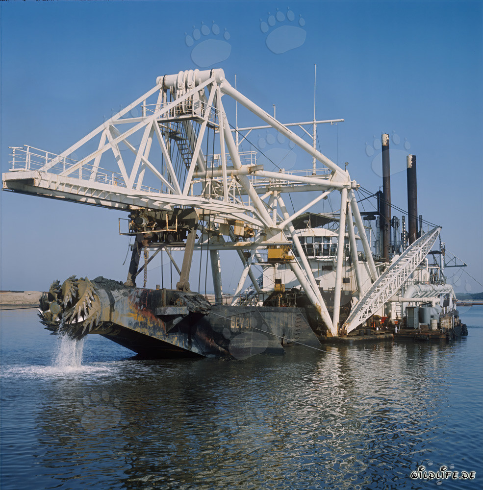 Drague suceuse à tête de coupe Beverwijk 31 dans le port de Richards Bay, Afrique du Sud