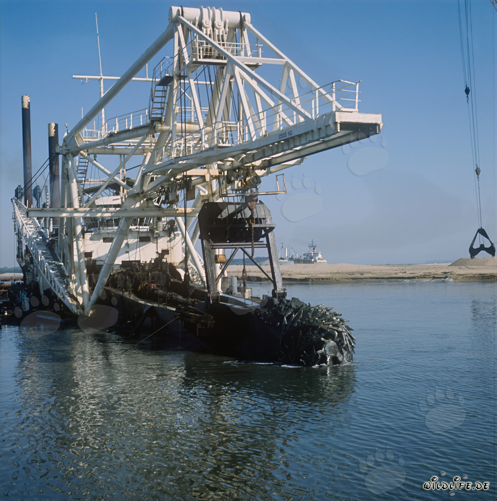 Draga de succión con cabezal cortador en trabajos de dragado húmedo en el puerto de Richards Bay