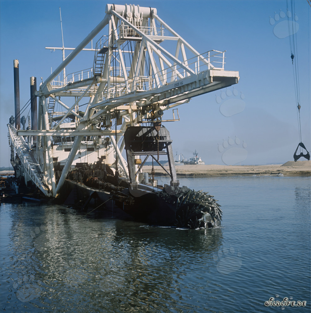 Schneidkopfspuelbagger bei Nassbaggerarbeiten in Richards Bay Hafen