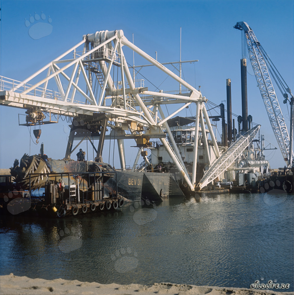 Cabezal de corte de una draga de succión en Richards Bay, Sudáfrica