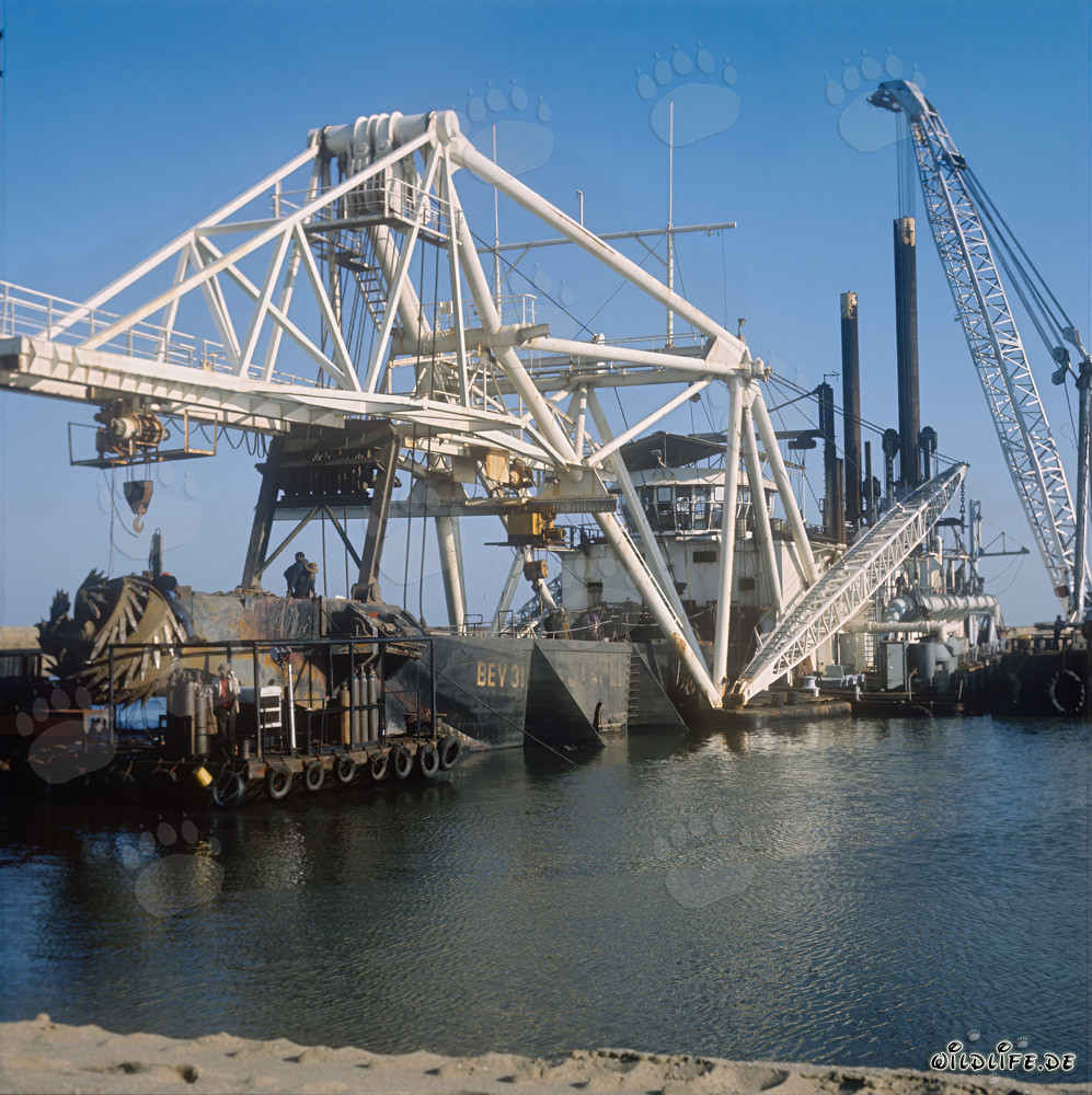 Cutter head of a cutter suction dredger in Richards Bay, South Africa