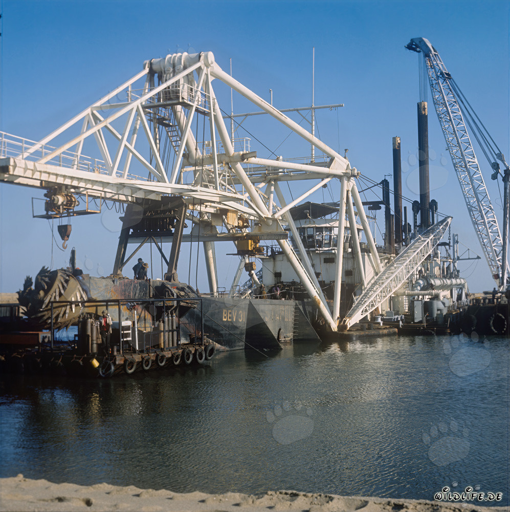 Schneidkopf eines Schneidkopfspülbaggers in Richards Bay, Südafrika