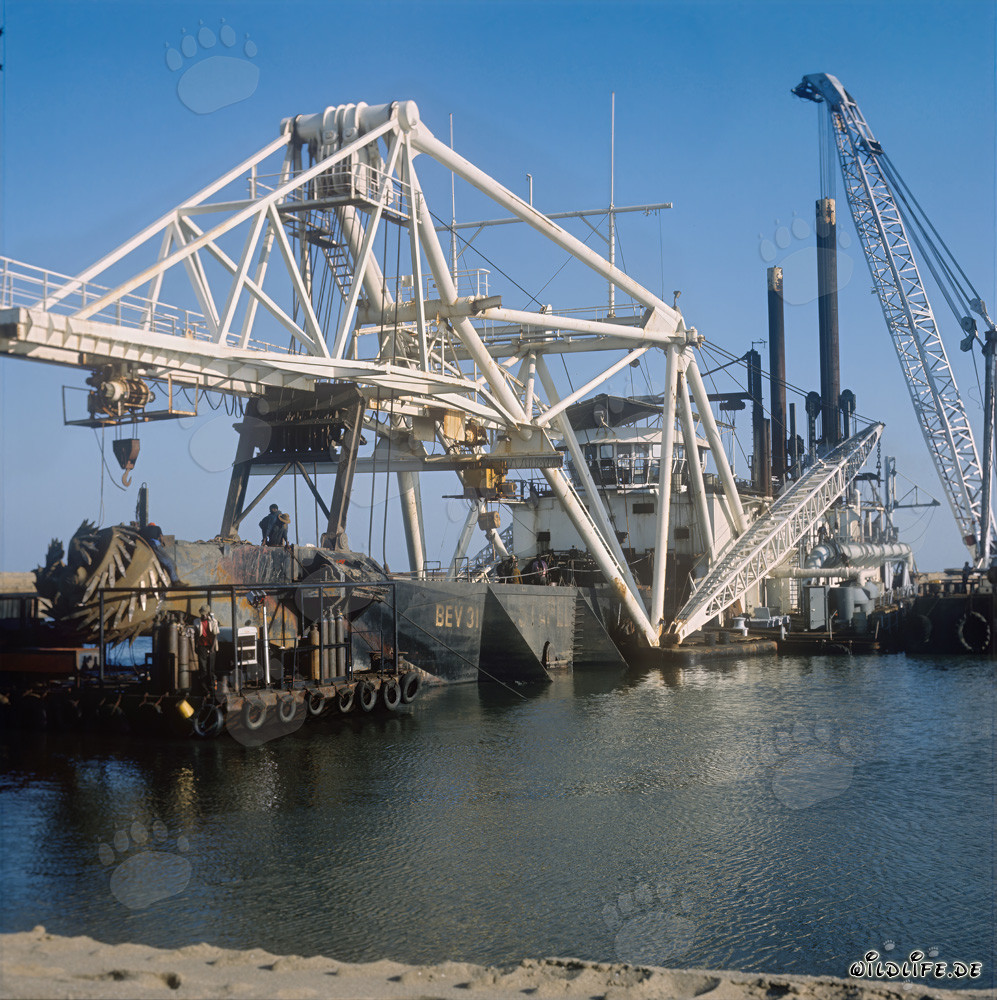 Tête de coupe d'une drague suceuse à tête de coupe à Richards Bay, Afrique du Sud