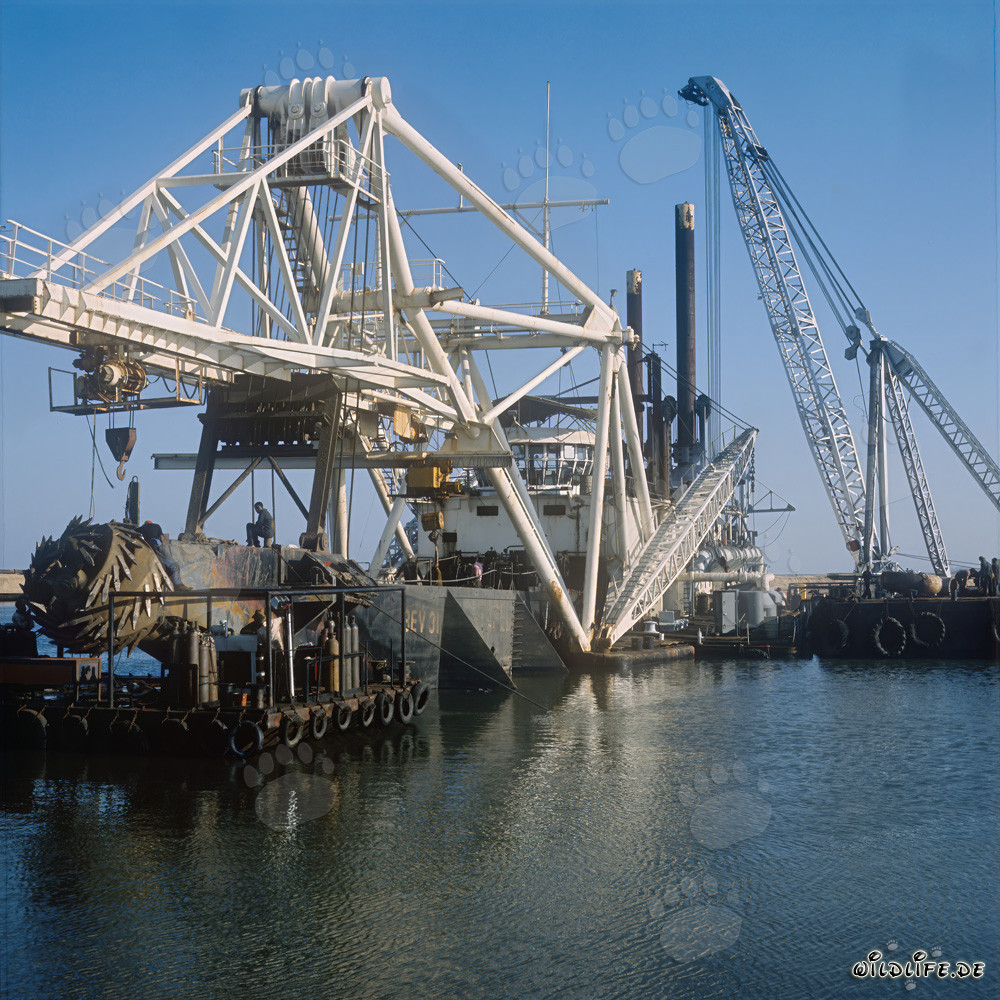 Dredging Operations in Richards Bay Harbor, Natal, South Africa - Cutter Suction Dredger Beverwijk 31