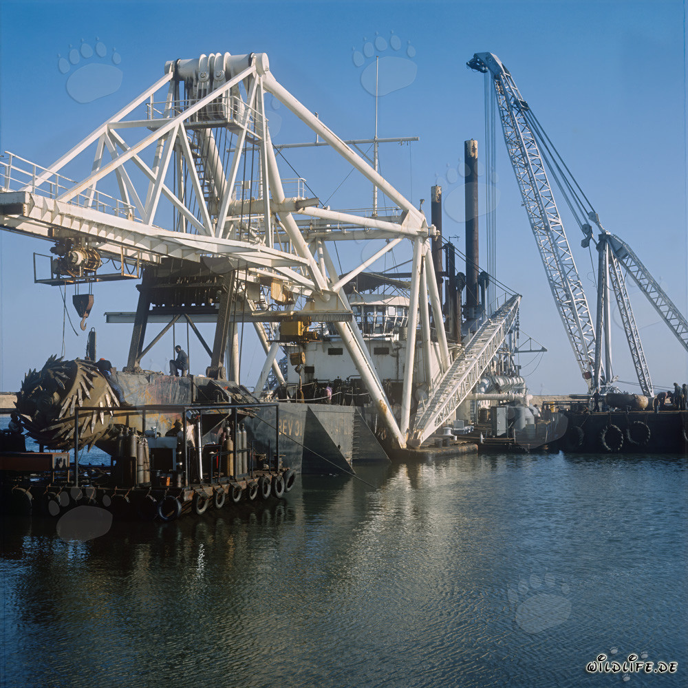 Trabajos de excavación en el puerto de Richards Bay, Natal, Sudáfrica - Dragado de corte de succión Beverwijk 31