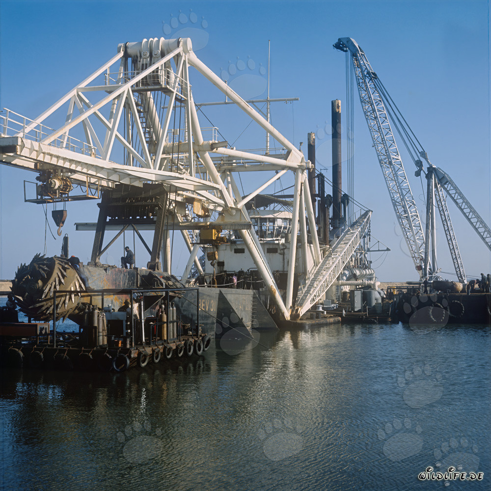 Travaux de dragage dans le port de Richards Bay, Natal, Afrique du Sud - Drague suceuse à tête de coupe Beverwijk 31