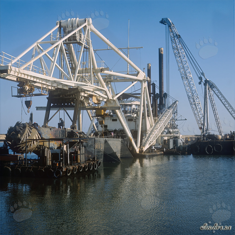 Baggerarbeiten im Hafen Richards Bay, Natal, Südafrika - Schneidkopfspülbagger Beverwijk 31