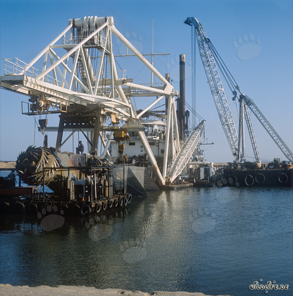 Cutter Head of a Cutter Suction Dredger in Richards Bay, South Africa