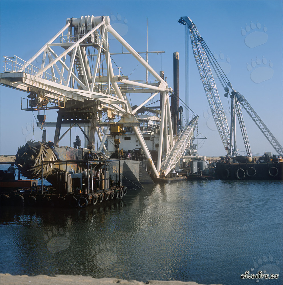 Schneidkopf eines Schneidkopfspülbaggers in Richards Bay, Südafrika