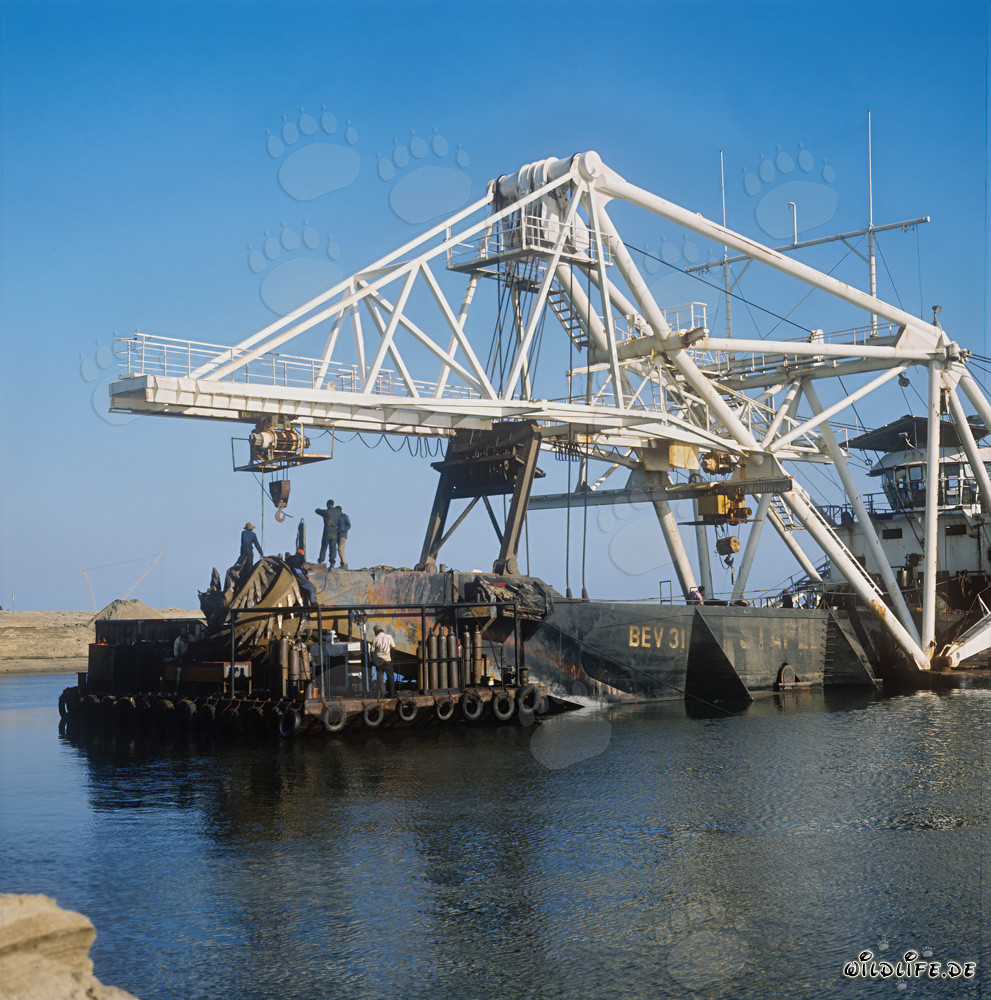 Dredging Works at Richards Bay Harbour: Cutter Suction Dredger Beverwijk 31