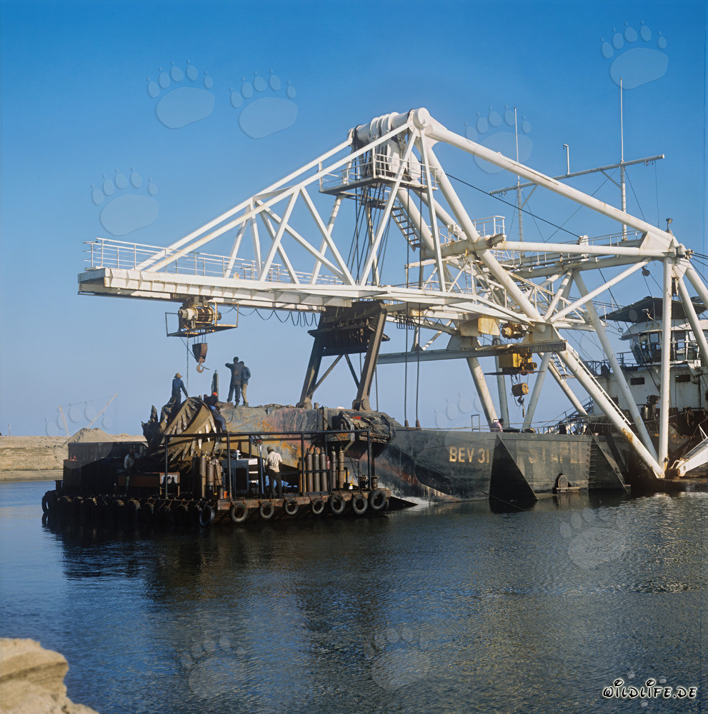 Trabajos de excavación en el puerto de Richards Bay: draga de succión de cabeza de corte Beverwijk 31