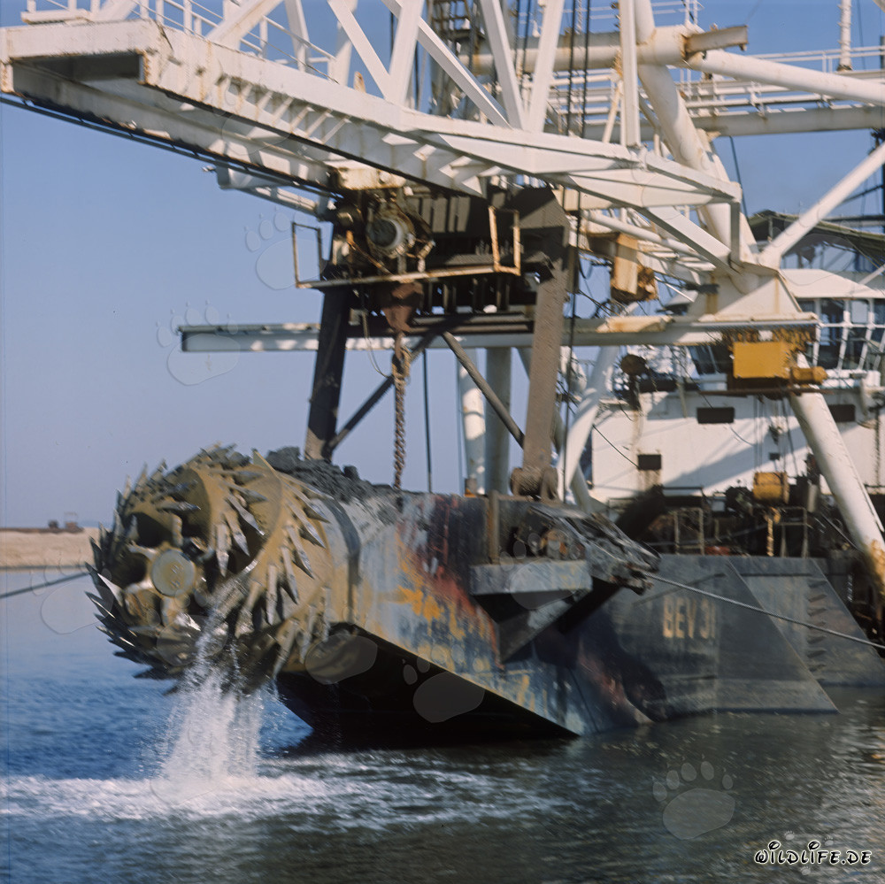 Cutter head - Cutter suction dredger Beverwijk 31 in Richards Bay Harbour